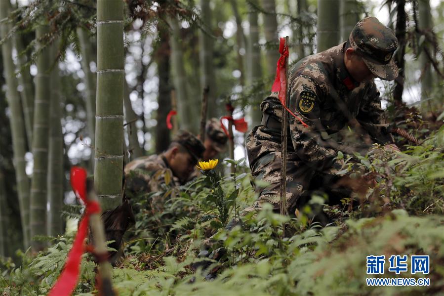 （圖文互動）（1）永不遲到的祭奠——追尋1343座無名紅軍墓背后的故事