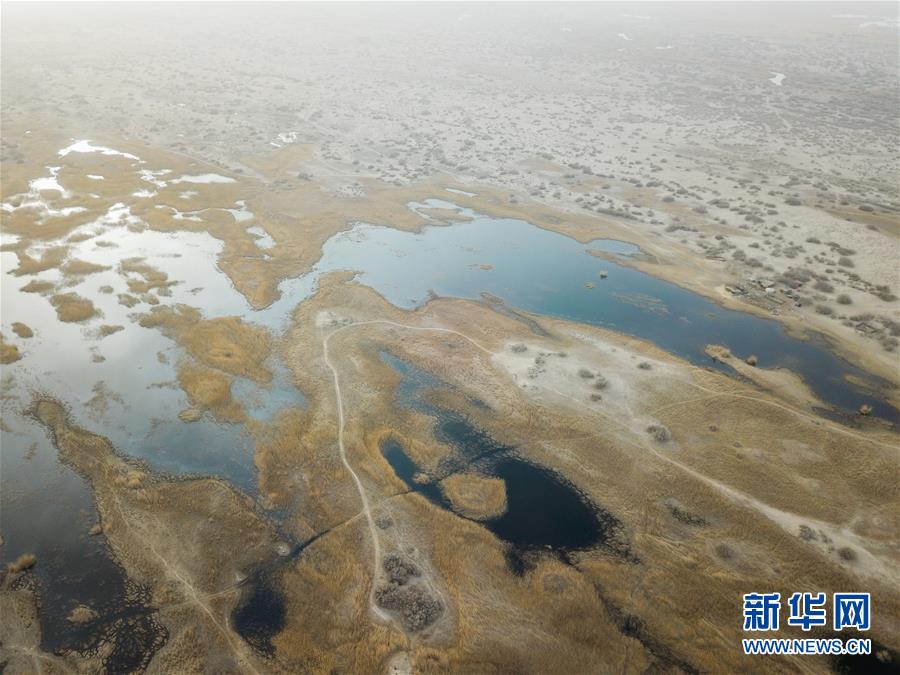 （圖文互動）（4）海子里的牧羊人見證中國最長內(nèi)陸河生態(tài)變遷