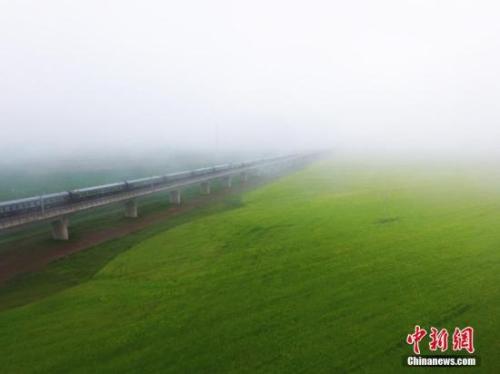 資料圖：動(dòng)車組穿越雨霧中的油菜花海宛若穿越時(shí)空。 楊艷敏 攝