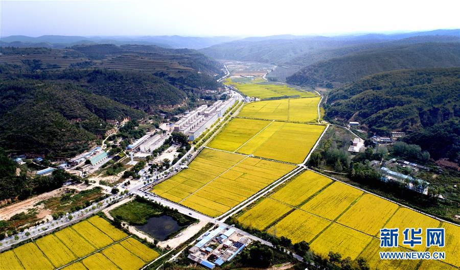 （新華全媒頭條·圖文互動）（8）春暉沐浴寶塔山——寫在延安各縣整體脫貧摘帽之際