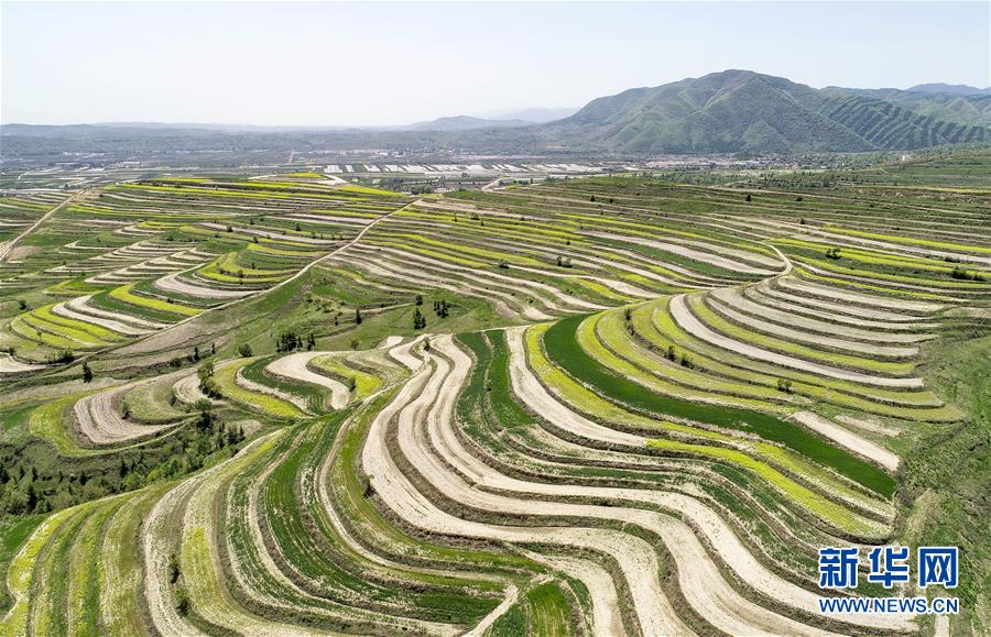 （新華全媒頭條·壯麗70年·奮斗新時(shí)代·圖文互動）（6）中國減貧的西海固報(bào)告