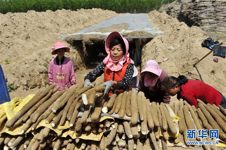 （在習(xí)近平新時代中國特色社會主義思想指引下——新時代新作為新篇章·圖文互動）（4）中條山下綠意濃——一個“資源窮縣”的生態(tài)發(fā)展之路