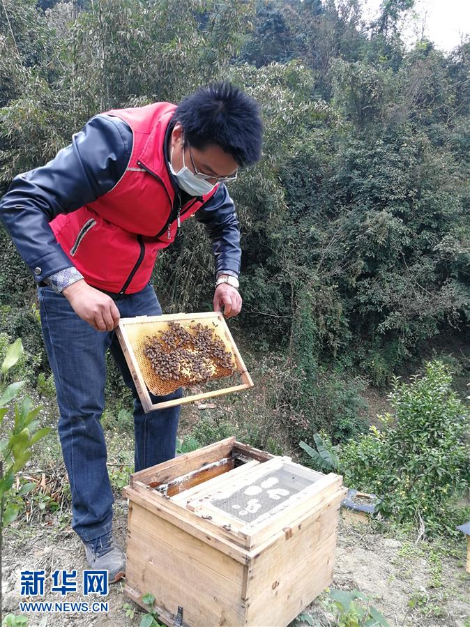 （在習(xí)近平新時代中國特色社會主義思想指引下——新時代新作為新篇章·習(xí)近平總書記關(guān)切事·圖文互動）（4）錘煉意志　輕裝上陣——黨員干部在一線磨礪閃光故事