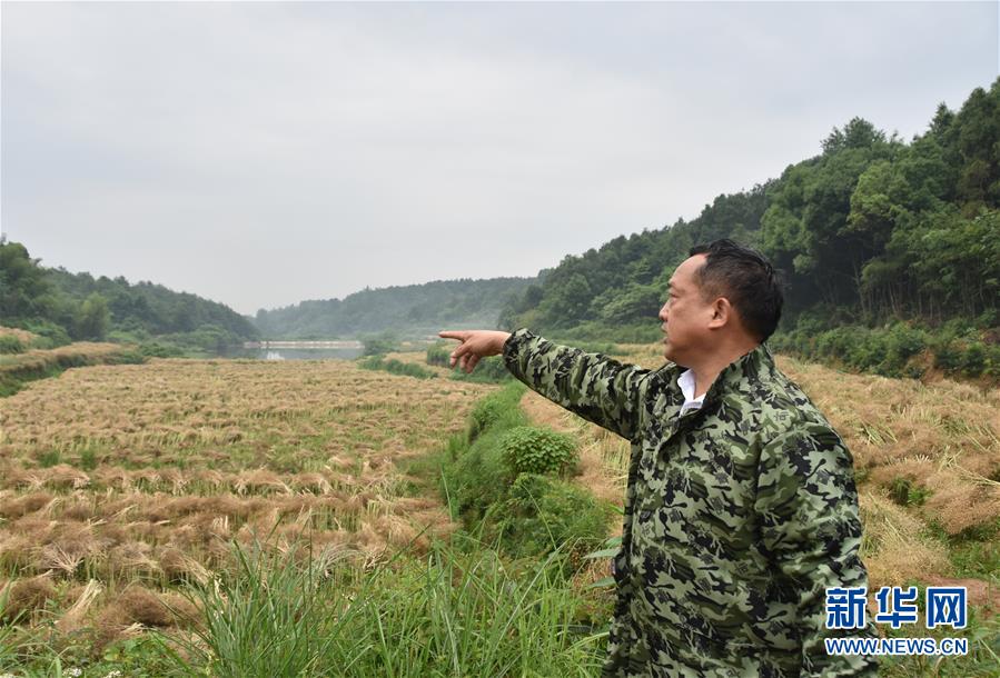 （代表委員履職·圖文互動(dòng)）（2）“我是農(nóng)民代表，始終關(guān)注農(nóng)村”——全國(guó)人大代表沈昌健的履職故事