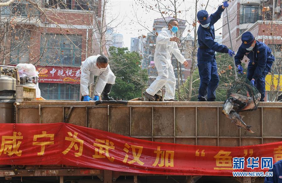 （新華全媒頭條·圖文互動）（12）從人民中汲取磅礴力量——習(xí)近平總書記同出席2020年全國兩會人大代表、政協(xié)委員共商國是紀實