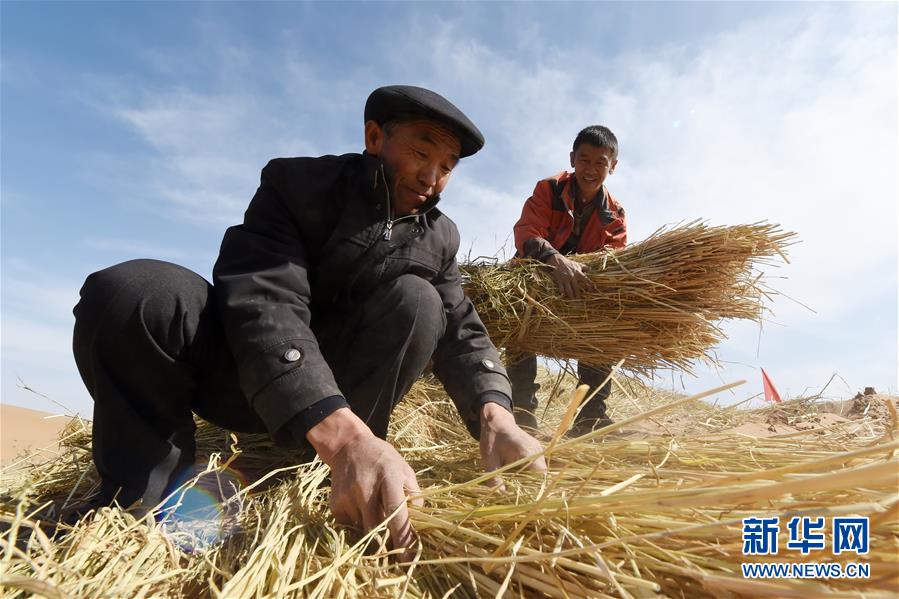 （在習(xí)近平新時代中國特色社會主義思想指引下——新時代新作為新篇章·習(xí)近平總書記關(guān)切事·圖文互動）（5）綠色映底蘊，山水見初心——生態(tài)優(yōu)先、綠色發(fā)展持續(xù)造福群眾美好生活