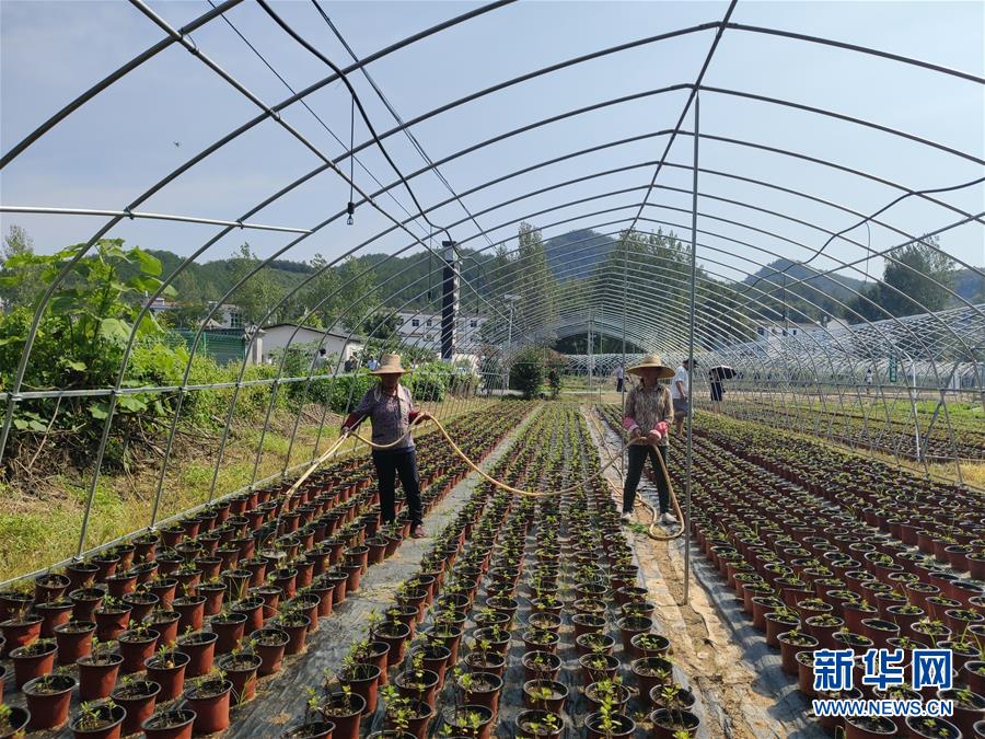 （決戰(zhàn)決勝脫貧攻堅·圖文互動）（3）安居樂業(yè)并重，搬遷脫貧同步——湖北88萬搬遷群眾脫貧觀察 