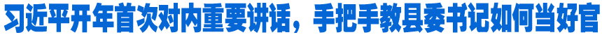 習(xí)近平開年首次對(duì)內(nèi)重要講話，手把手教縣委書記如何當(dāng)好官