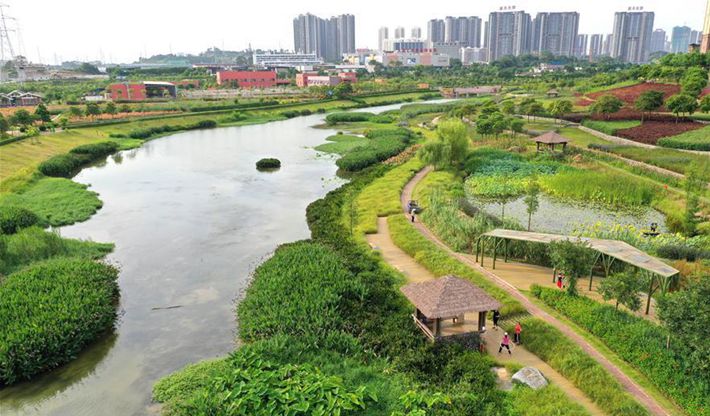 南寧那考河濕地公園：一條“臭水溝”的華麗轉身