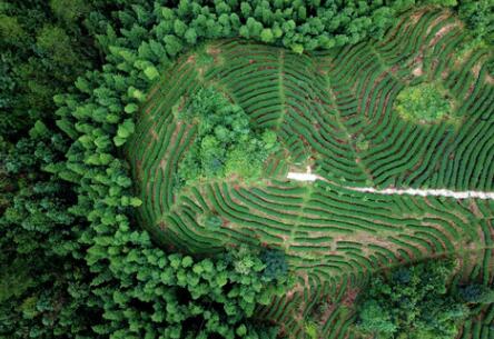 福建龍巖：高效用地，提升生態(tài)環(huán)境水平