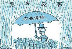 我國農(nóng)業(yè)保險業(yè)務規(guī)模居全球第二