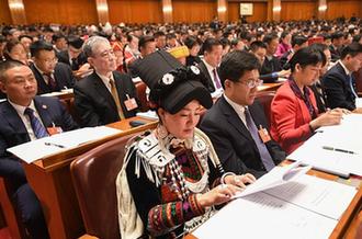 全國(guó)人大代表喬進(jìn)雙梅：“花間”繡出美麗人生