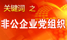 王京清：非公企業(yè)建立黨組織服務(wù)企業(yè)發(fā)展、服務(wù)員工