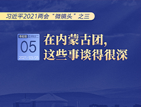 習(xí)近平2021兩會“微鏡頭”之三 3月5日 在內(nèi)蒙古團，這些事談得很深