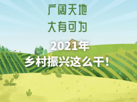 廣闊天地 大有可為 2021年鄉(xiāng)村振興這么干！