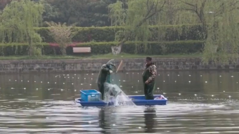 別人家的學校！安師大請師生吃一萬斤魚