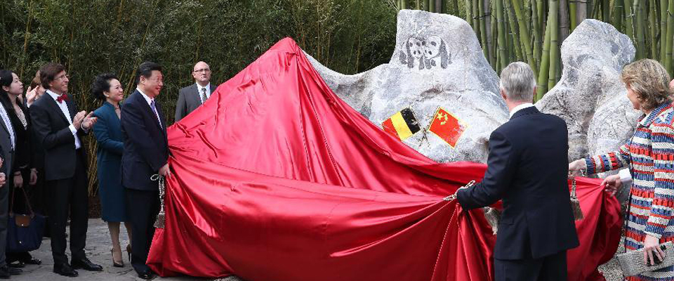 習(xí)近平和比利時(shí)國王菲利普共同出席大熊貓園開園儀式